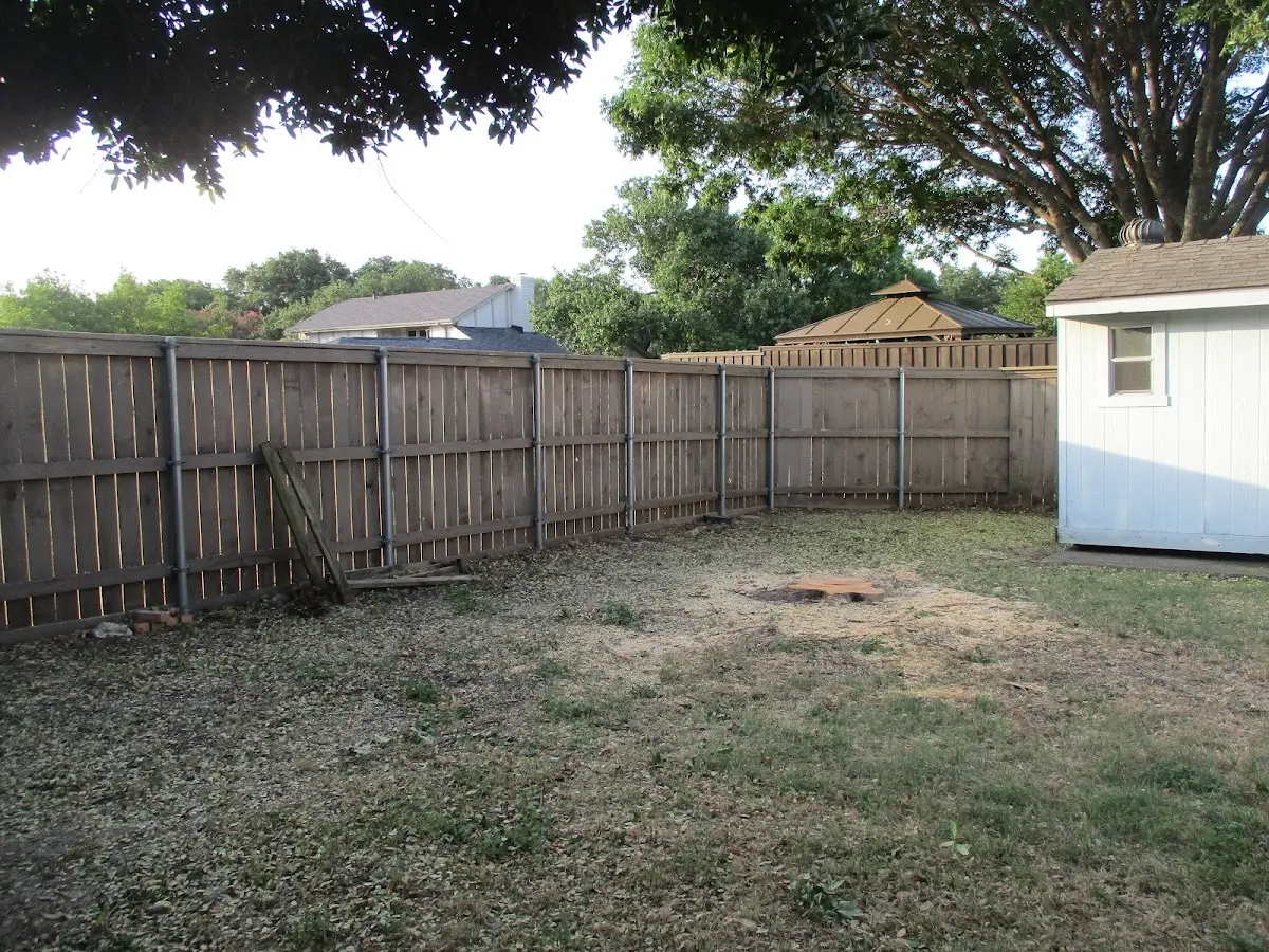 Cleared yard after professional tree removal in Pauma Valley