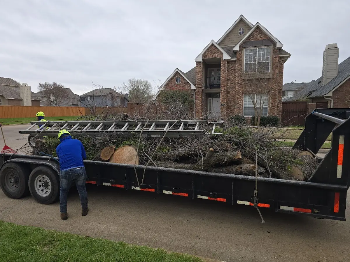 Expert Tree Fertilization with proper safety equipment in Pauma Valley
